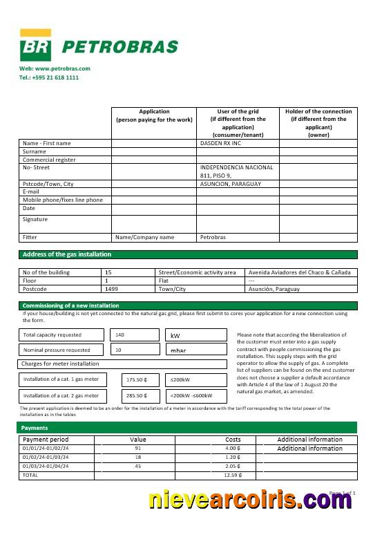 Paraguay Petrobras Paraguay Operations and Logistics gas company business utility bill